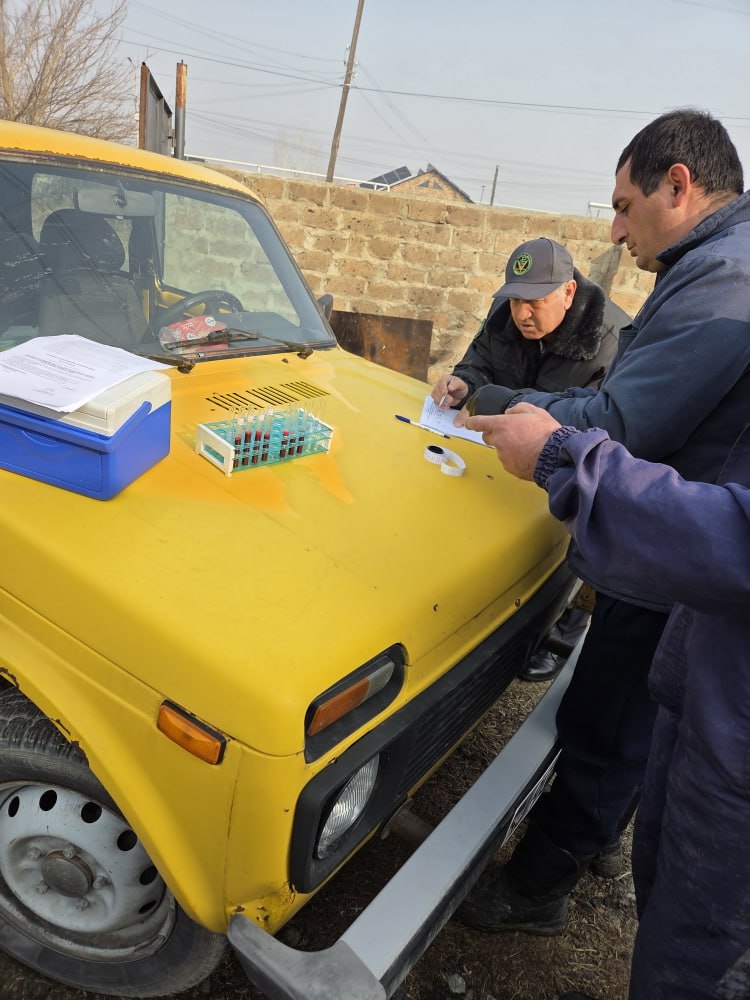 photo_2025-12-25_12-28-34 (3)_1766730275.jpg